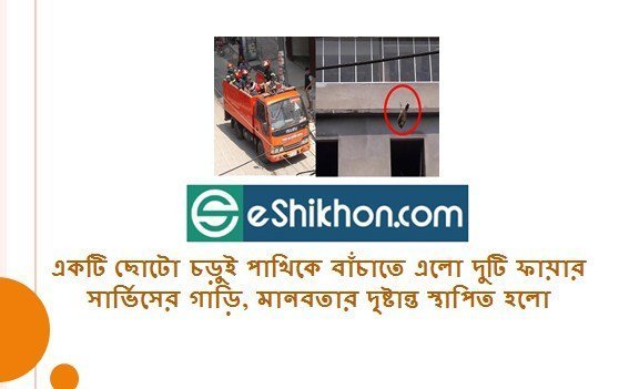 একটি ছোটো চড়ুই পাখিকে বাঁচাতে এলো দুটি ফায়ার সার্ভিসের গাড়ি, মানবতার দৃষ্টান্ত স্থাপিত হলো