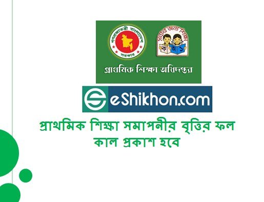 প্রাথমিক শিক্ষা সমাপনীর বৃত্তির ফল কাল প্রকাশ হবে