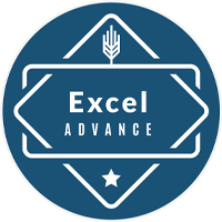 Excel Advance Course Batch