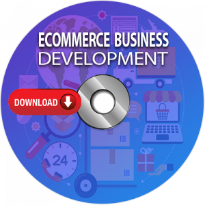 ecommerce business development