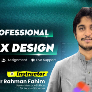 Professional UI/UX Design (Live Course)