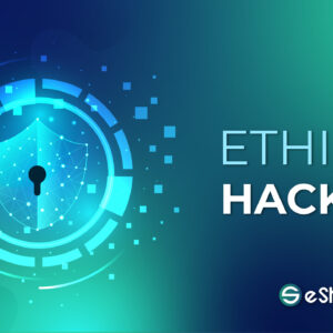 Ethical Hacking (offline course)