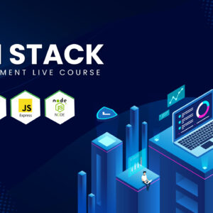 MERN Stack Web Development (offline course)